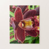 Maroon Orchids I Beautiful Red Floral Puzzle (Vertikal)