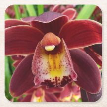 Maroon Orchids I Beautiful Red Floral