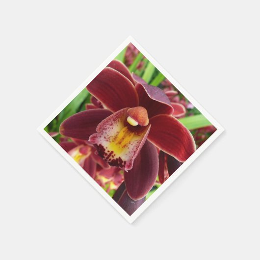 Maroon Orchids I Beautiful Red Floral Serviette (Ecke)