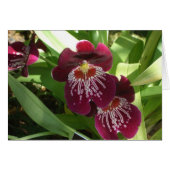 Maroon Orchids II Elegante (Vorderseite (Horizontal))