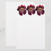 Maroon Orchids II Elegante Blumen Briefpapier (Vorne/Hinten)