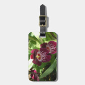 Maroon Orchids II Elegante Gepäckanhänger (Vorderseite vertikal)