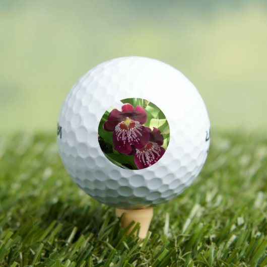 Maroon Orchids II Elegante Golfball (Insitu T-Shirt)