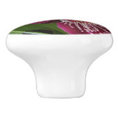 Maroon Orchids II Elegante Keramikknauf (Seitenansicht)