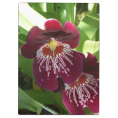 Maroon Orchids II Elegante Klemmbrett (Rückseite)