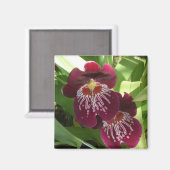 Maroon Orchids II Elegante Magnet (Vorderseite/Rückseite)
