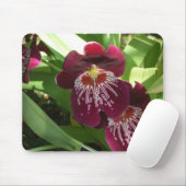 Maroon Orchids II Elegante Mousepad (Mit Mouse)