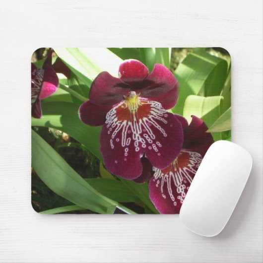 Maroon Orchids II Elegante Mousepad (Mit Mouse)