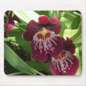 Maroon Orchids II Elegante Mousepad (Vorne)
