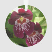 Maroon Orchids II Elegante Ornament (Rückseite)