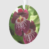 Maroon Orchids II Elegante Ornament (Vorderseite)