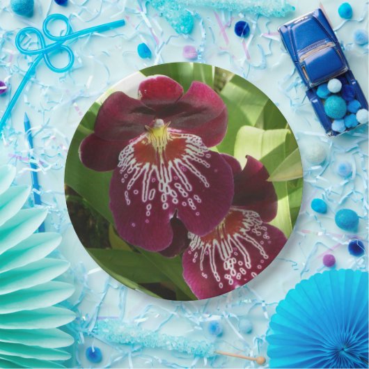 Maroon Orchids II Elegante Pappteller (Party)