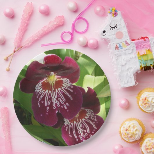 Maroon Orchids II Elegante Pappteller (Party)