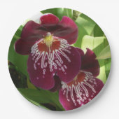 Maroon Orchids II Elegante Pappteller (Vorderseite)