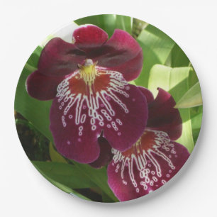 Maroon Orchids II Elegante Pappteller