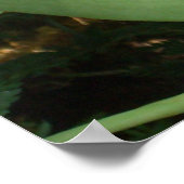 Maroon Orchids II Elegante Poster (Ecke)