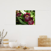 Maroon Orchids II Elegante Poster (Küche)