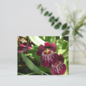 Maroon Orchids II Elegante Postkarte (Stehend Vorderseite)