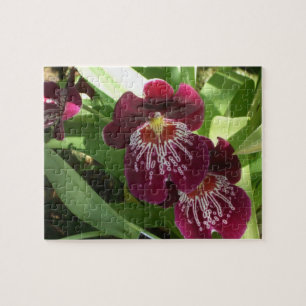 Maroon Orchids II Elegante Puzzle