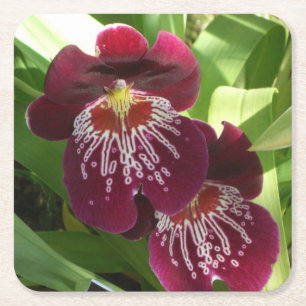 Maroon Orchids II Elegante Rechteckiger Pappuntersetzer