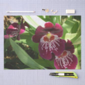 Maroon Orchids II Elegante Seidenpapier (Handwerk)