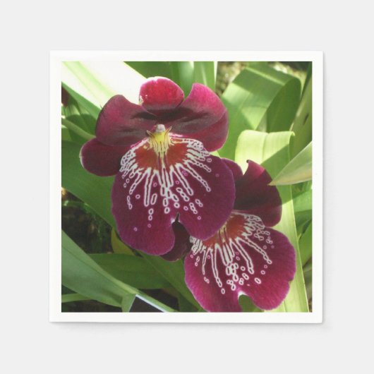 Maroon Orchids II Elegante Serviette (Vorderseite)