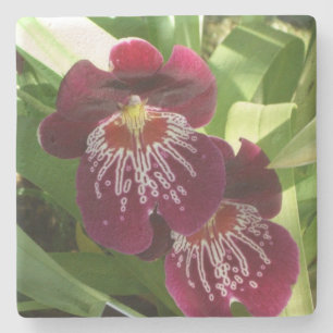 Maroon Orchids II Elegante Steinuntersetzer