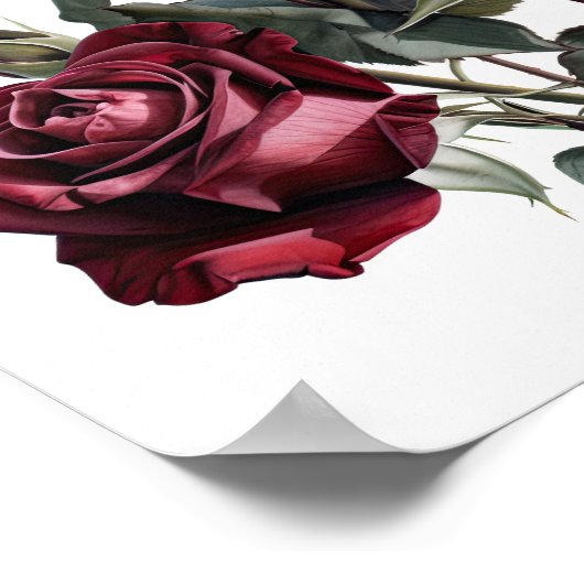 Maroon Rose Blume Art Print Poster (Ecke)