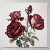 Maroon Rose Blume Art Print Poster (Vorne)