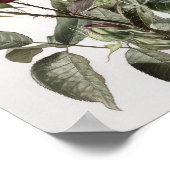 Maroon Rose Blume Art Print Poster (Ecke)