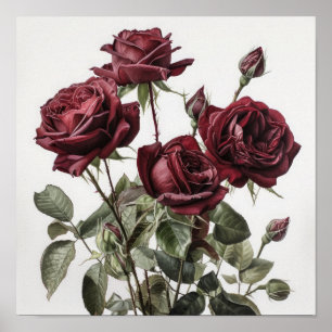 Maroon Rose Blume Art Print Poster