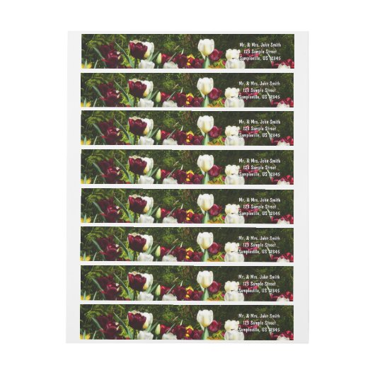 Maroon und Gelbe Tulips farbenfrohe Blumen (Bogen)