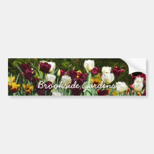 Maroon und Gelbe Tulips farbenfrohe Blumen Autoaufkleber