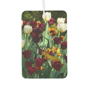 Maroon und Gelbe Tulips farbenfrohe Blumen Autolufterfrischer