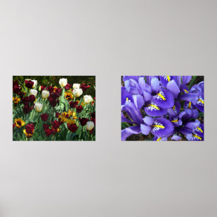 Maroon und Gelbe Tulips farbenfrohe Blumen Bilderwand Sets