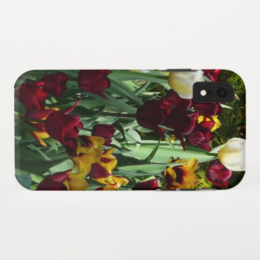 Maroon und Gelbe Tulips farbenfrohe Blumen Case-Mate iPhone Hülle (Rückseite (Horizontal))