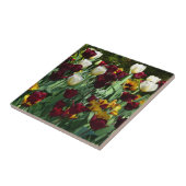 Maroon und Gelbe Tulips farbenfrohe Blumen Fliese (Seite)