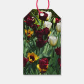 Maroon und Gelbe Tulips farbenfrohe Blumen Geschenkanhänger (Vorderseite)