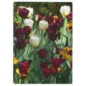 Maroon und Gelbe Tulips farbenfrohe Blumen Klemmbrett (Rückseite)