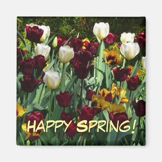 Maroon und Gelbe Tulips farbenfrohe Blumen Magnet (Vorne)