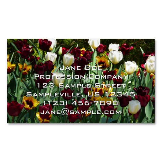 Maroon und Gelbe Tulips farbenfrohe Blumen Magnetische Visitenkarte (Vorderseite)