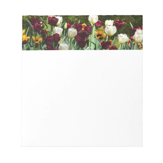 Maroon und Gelbe Tulips farbenfrohe Blumen Notizblock (Vorderseite)