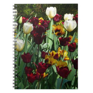 Maroon und Gelbe Tulips farbenfrohe Blumen Notizblock