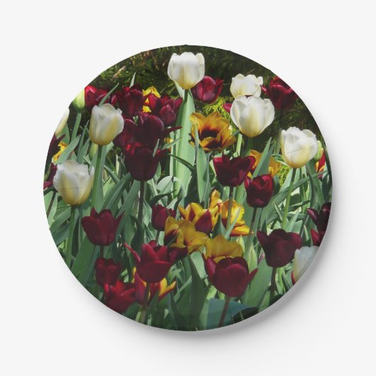 Maroon und Gelbe Tulips farbenfrohe Blumen Pappteller (Vorderseite)