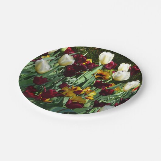 Maroon und Gelbe Tulips farbenfrohe Blumen Pappteller (Schrägansicht)