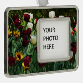 Maroon und Gelbe Tulips farbenfrohe Blumen Rahmen-Ornament Silber (Rechts)