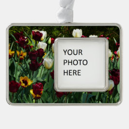 Maroon und Gelbe Tulips farbenfrohe Blumen Rahmen-Ornament Silber