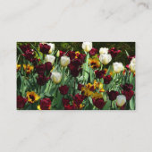 Maroon und Gelbe Tulips farbenfrohe Blumen Visitenkarte (Rückseite)