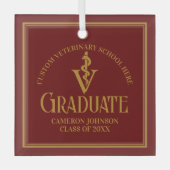 Maroon Veterinary School Abschluss Weihnachten Ornament Aus Glas (Vorderseite)