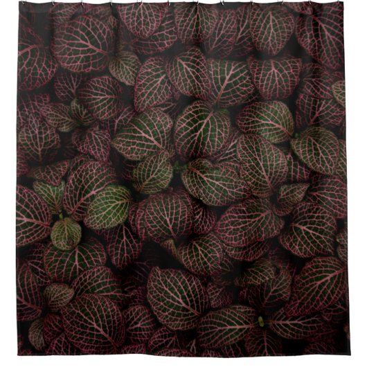 MAROONBLÄTRIGE BLUME DUSCHVORHANG (Vorderseite)
